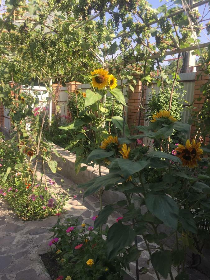 Oasis Apartamento Aspindza Exterior foto