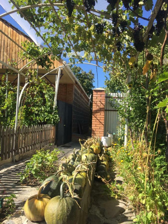 Oasis Apartamento Aspindza Exterior foto